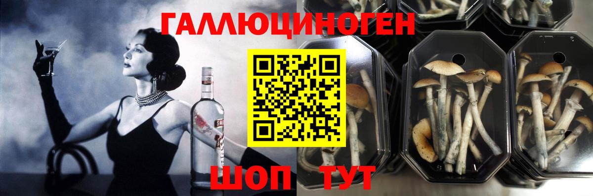 Галлюциногенные грибы ЛСД  Вход с VPN  Острогожск 